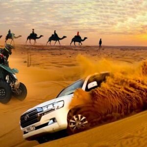 Royal Falconry Training Experience