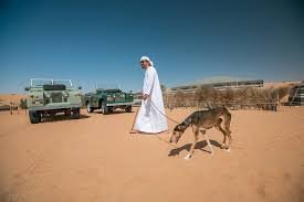 Bedouin Culture Safari - Private Car
