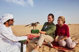 Royal Falconry Training Experience
