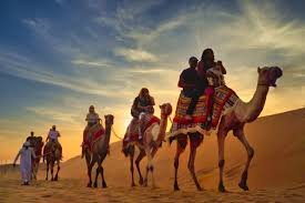 Camel Desert Safari with Overnight – Shared car